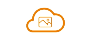Sending recorded images on-line and or save them on an SD card