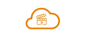 Sending video on-line and or to save them on an SD card or HDD disk drive